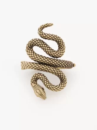 Chloé Snake-armbandet Chloé Snake-armbandet