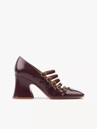 Janis pump Janis pump