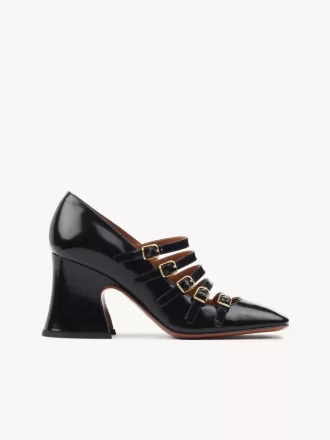 Janis pump Janis pump
