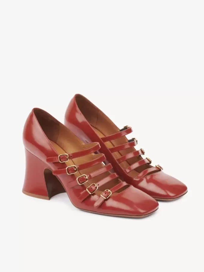 Janis pump Janis pump