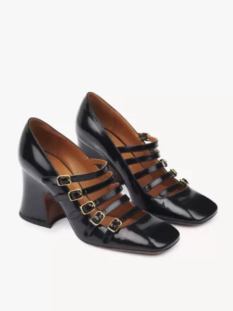 Janis pump Janis pump